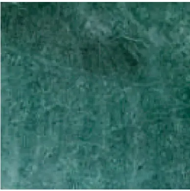 AS-F20 · Đá granite tự nhiên