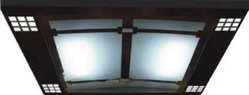 AS-T09 · Trần cabin khung đen, đèn LED